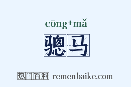 骢马是什么意思的图片